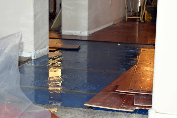 Professional Water Extraction technician working in Newport Beach, CA